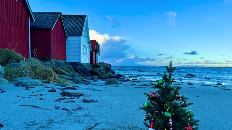 Juletre i sanden ved Ølberg