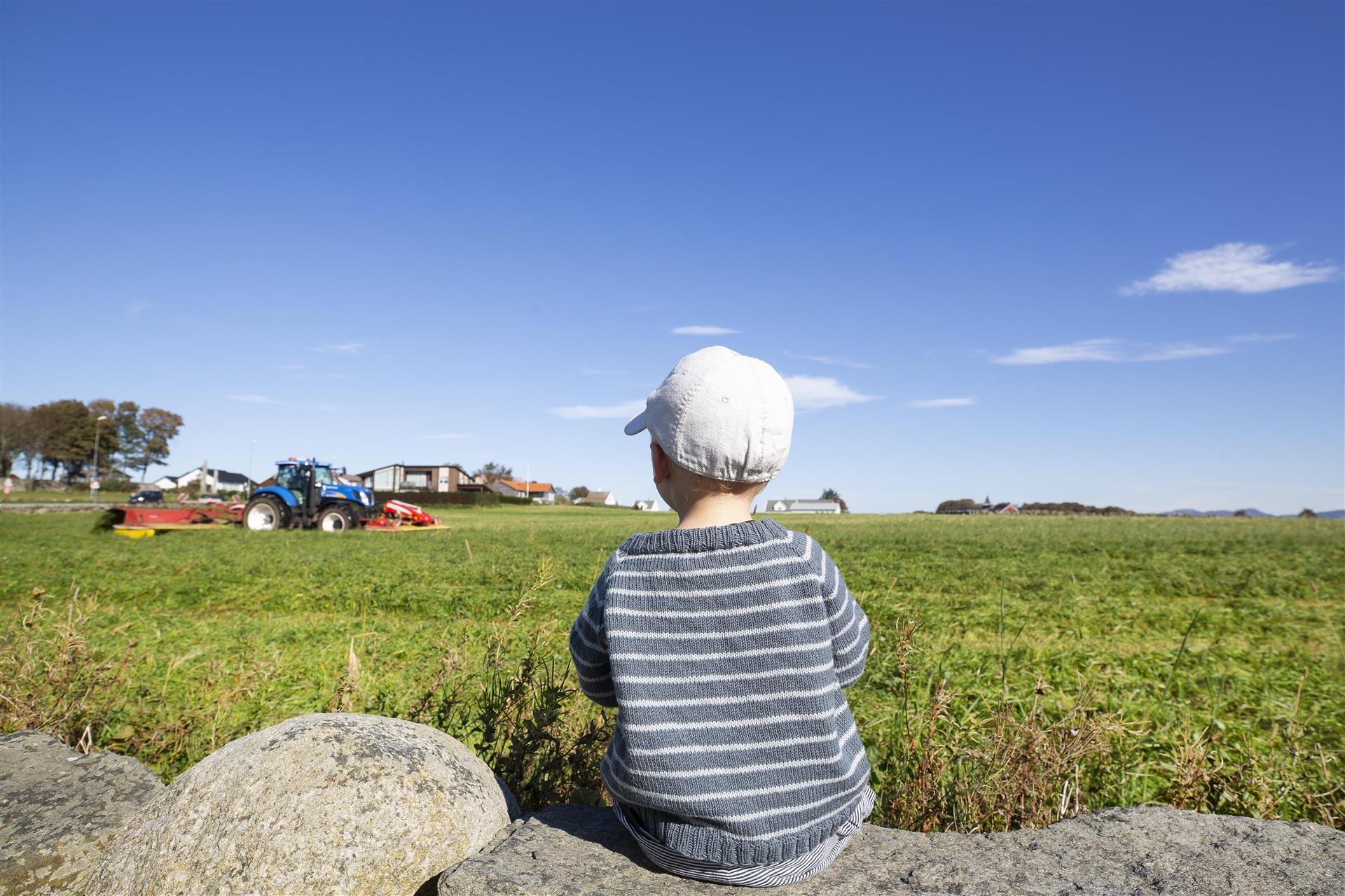 Bilde av et barn som sitter med ryggen til på et gjerde og ser utover åkeren.