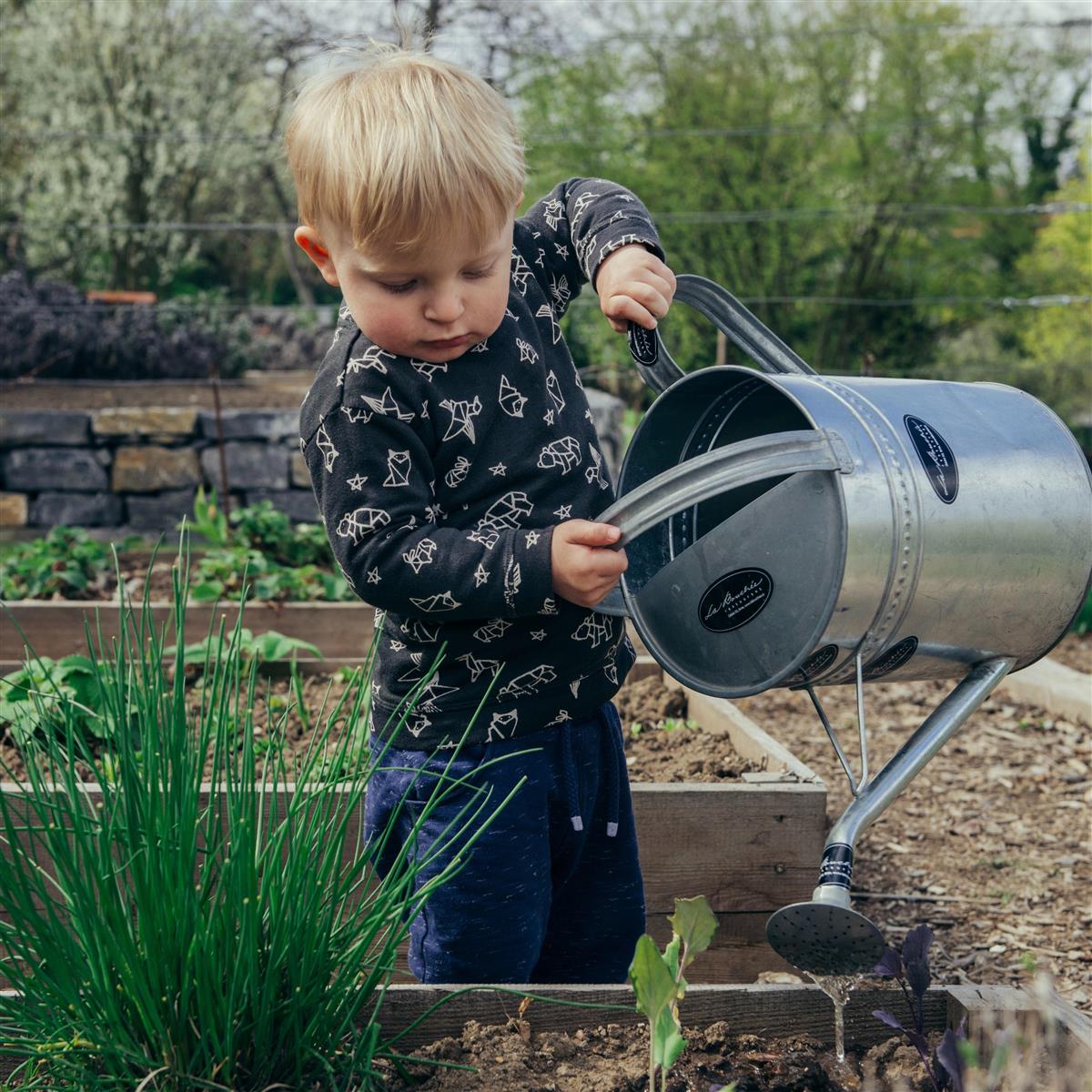 Foto av en liten gutt som vanner grønnsakshagen.  - Klikk for stort bilde