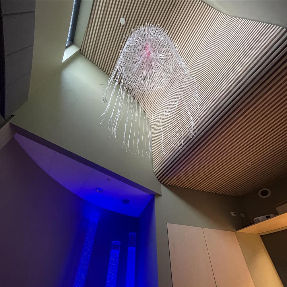 Bildet viser et tak der det kommer lys inn fra takvindu. - Klikk for stort bilde